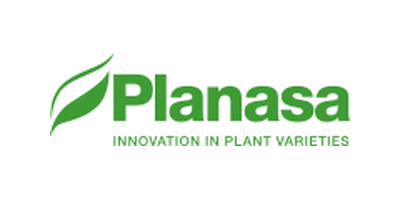 planasa